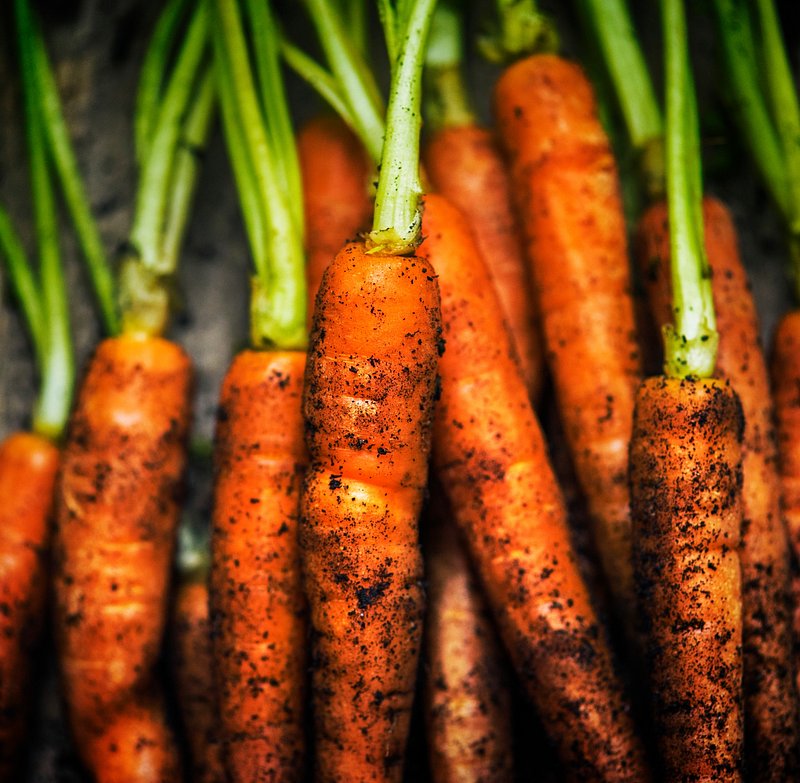 carrots